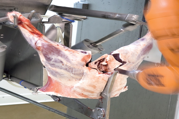 Hindquarter system cutting