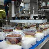 Volumetric food depositors and robotic dispensing systems
