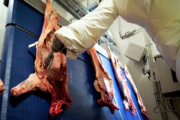 Beef scriber
