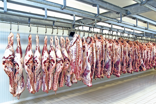 Robotic, Automated Meat Boning Room System | Stelram